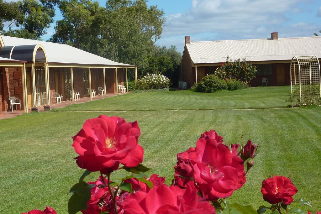 Coonawarra Place Motor Inn Eksteriør billede