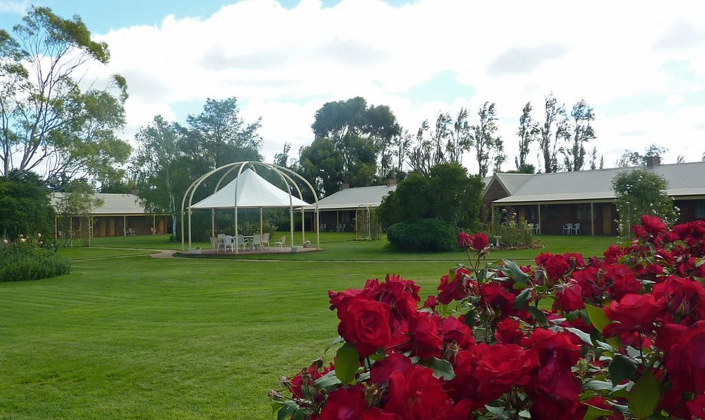 Coonawarra Place Motor Inn Eksteriør billede