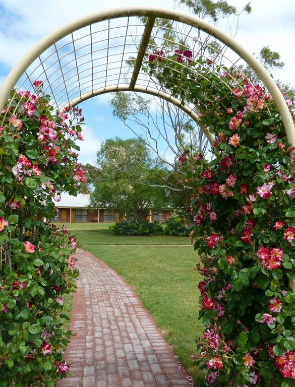 Coonawarra Place Motor Inn Eksteriør billede
