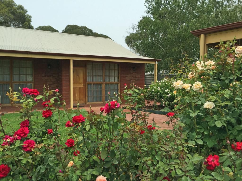 Coonawarra Place Motor Inn Eksteriør billede