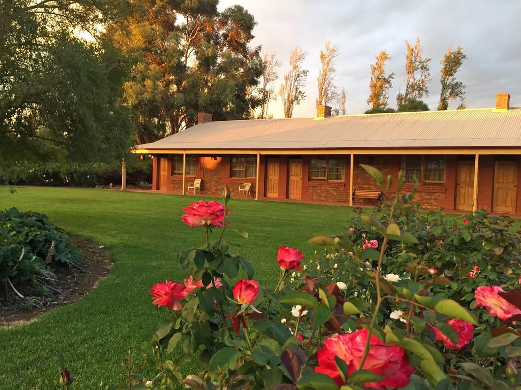 Coonawarra Place Motor Inn Eksteriør billede