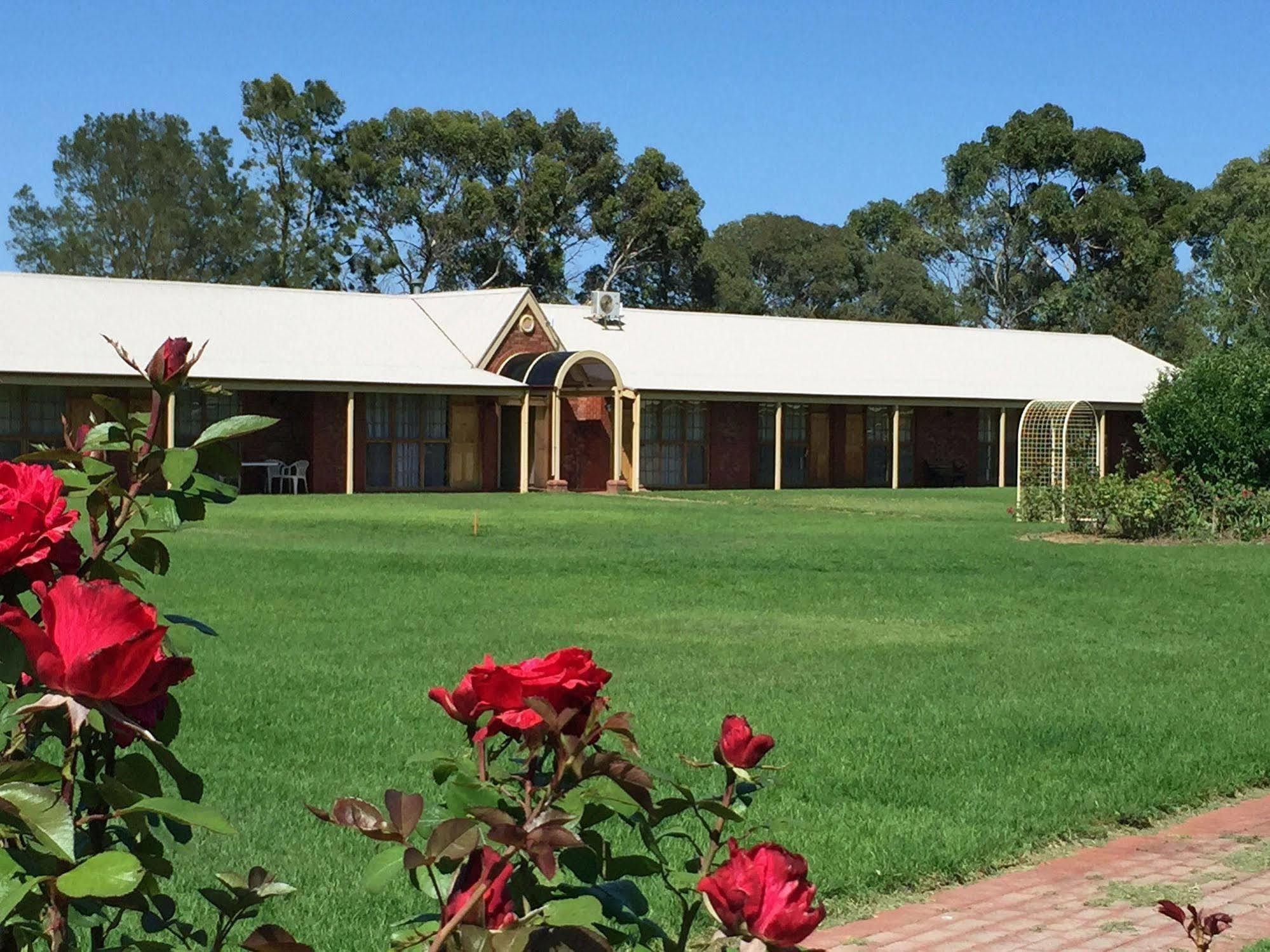 Coonawarra Place Motor Inn Eksteriør billede