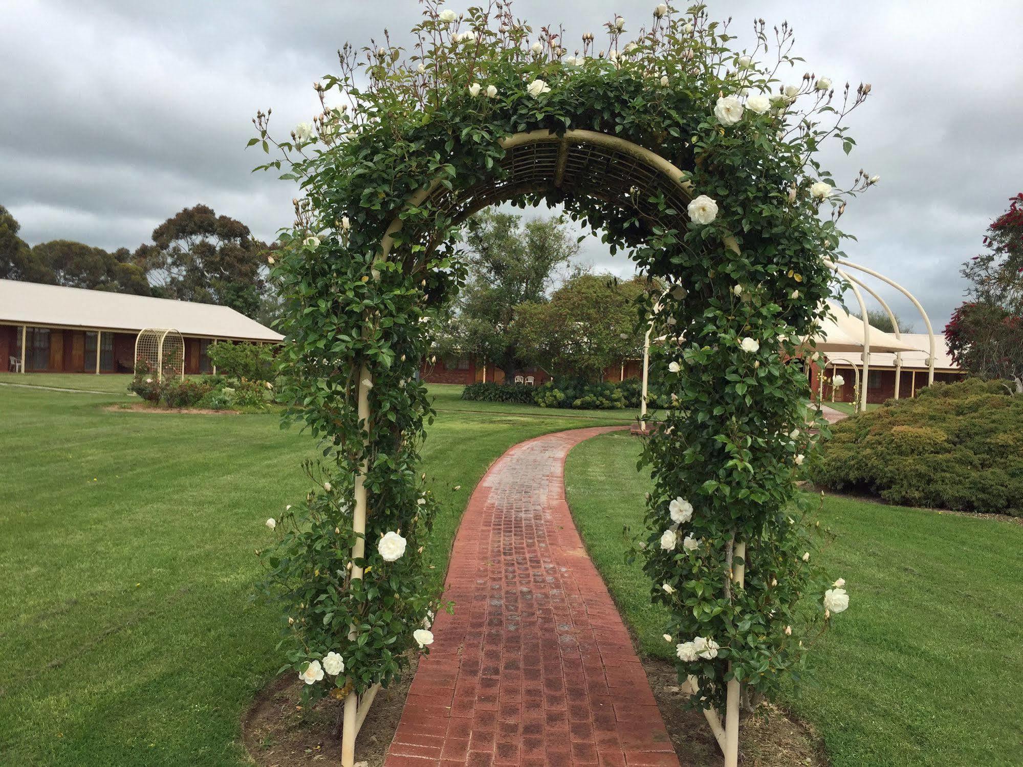 Coonawarra Place Motor Inn Eksteriør billede