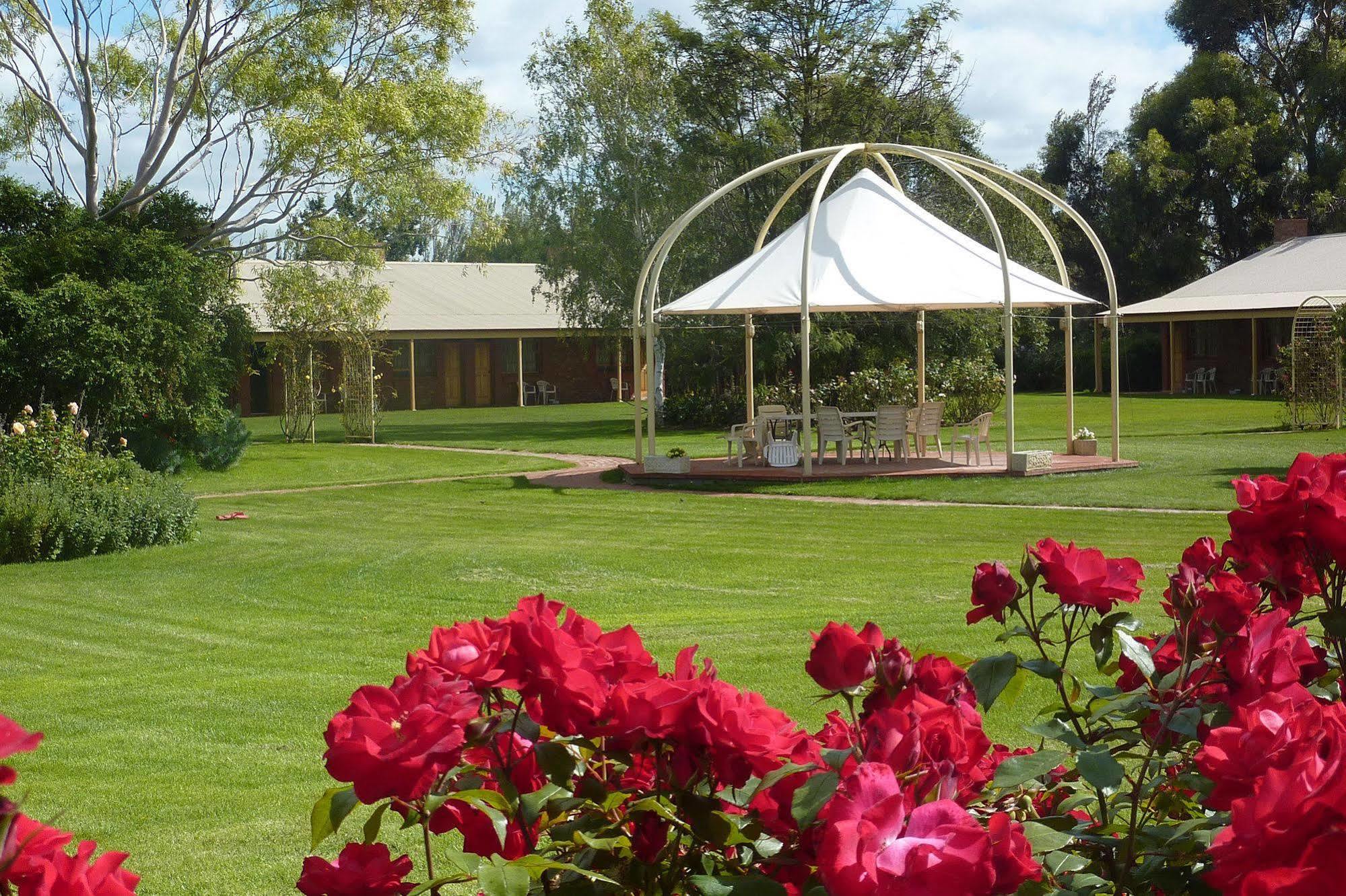 Coonawarra Place Motor Inn Eksteriør billede