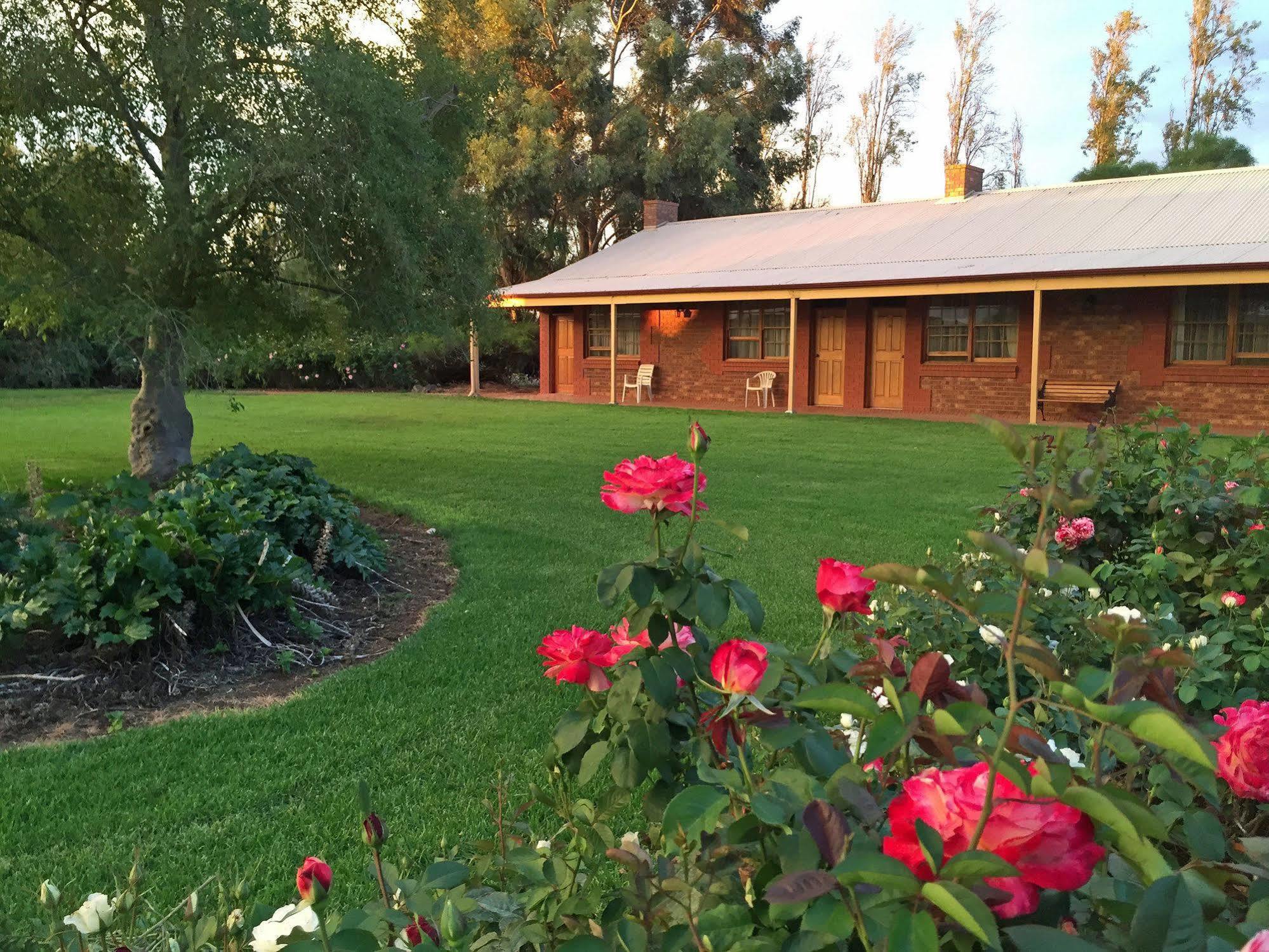 Coonawarra Place Motor Inn Eksteriør billede