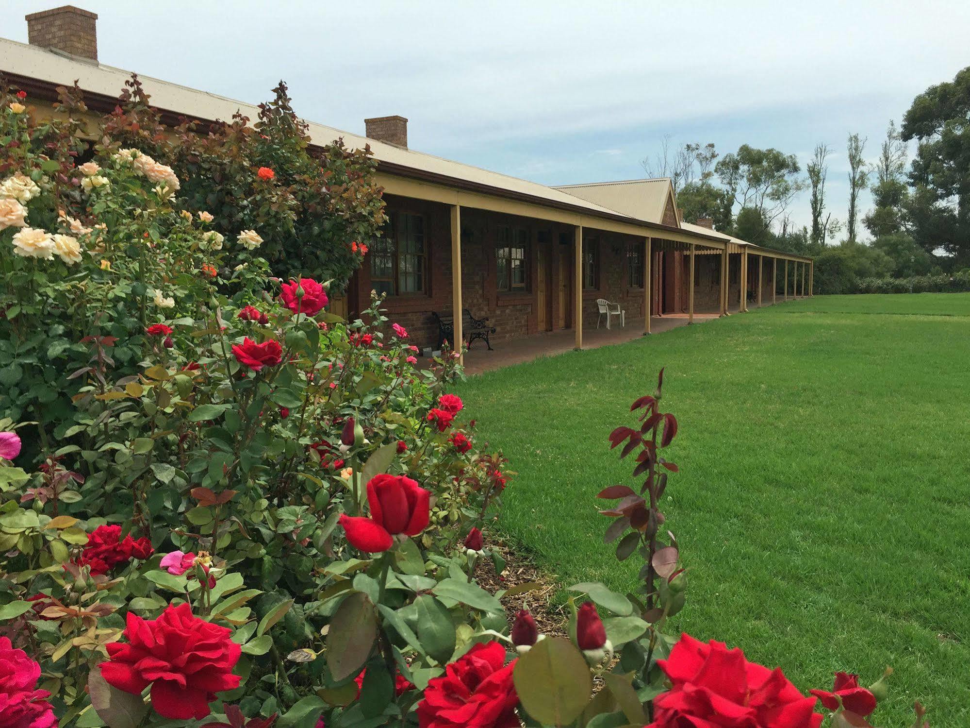 Coonawarra Place Motor Inn Eksteriør billede