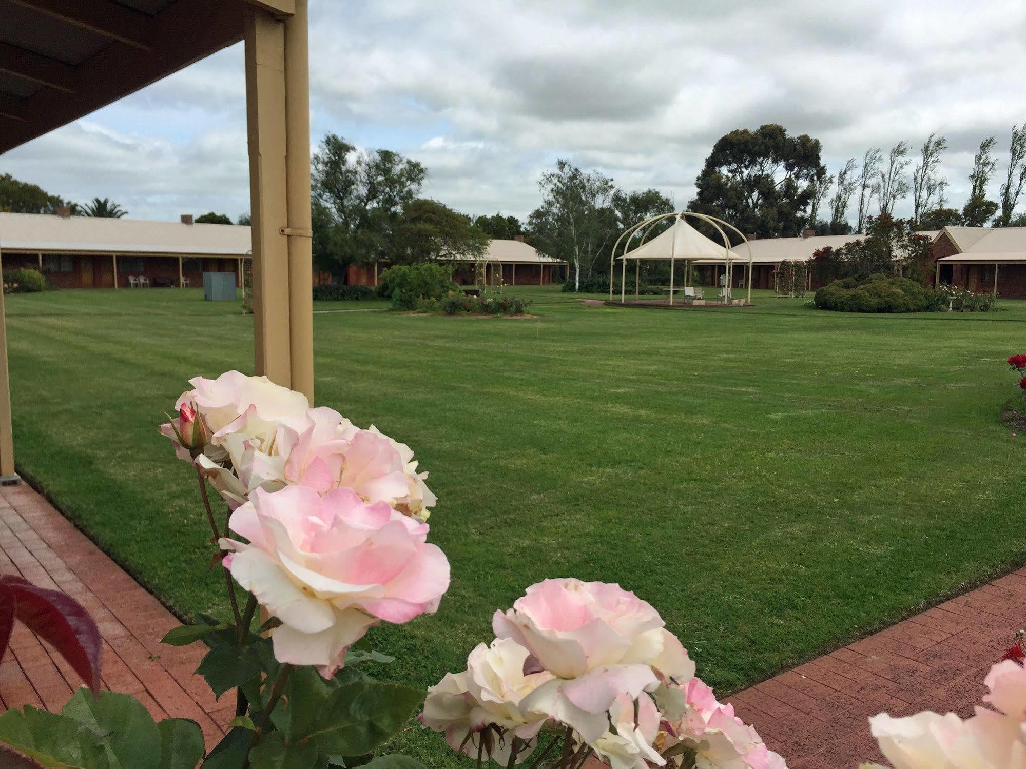 Coonawarra Place Motor Inn Eksteriør billede